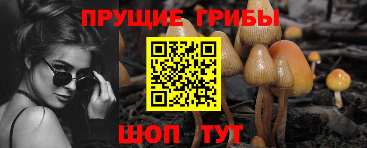 Галлюциногенные грибы Psilocybine cubensis  Вход с VPN  Галлюциногенные грибы GOLDEN TEACHER  Нефтекумск 